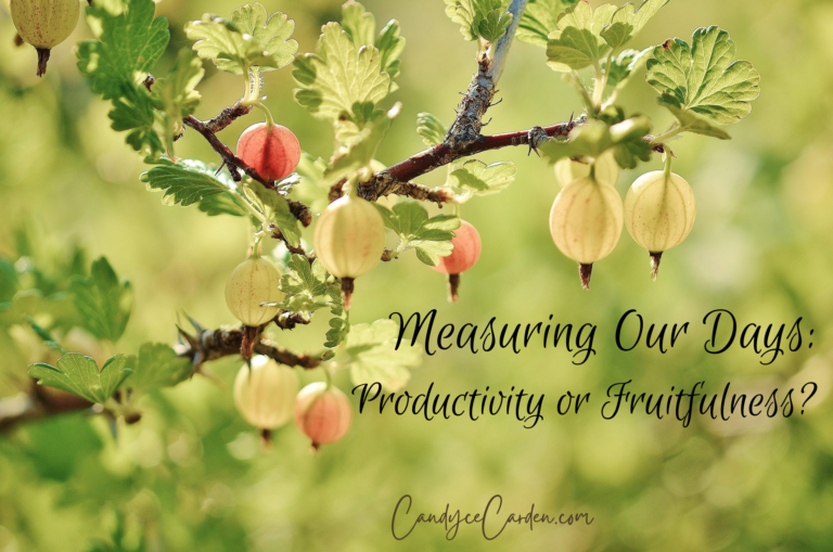 Measuring Our Days: Productivity or Fruitfulness?