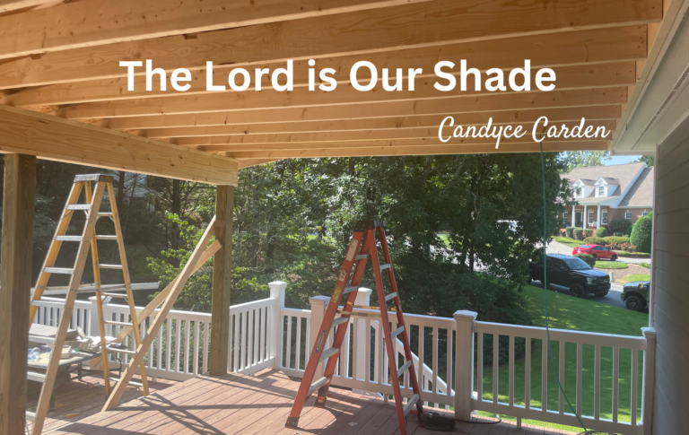 The Lord is the Shade of Your Right Hand