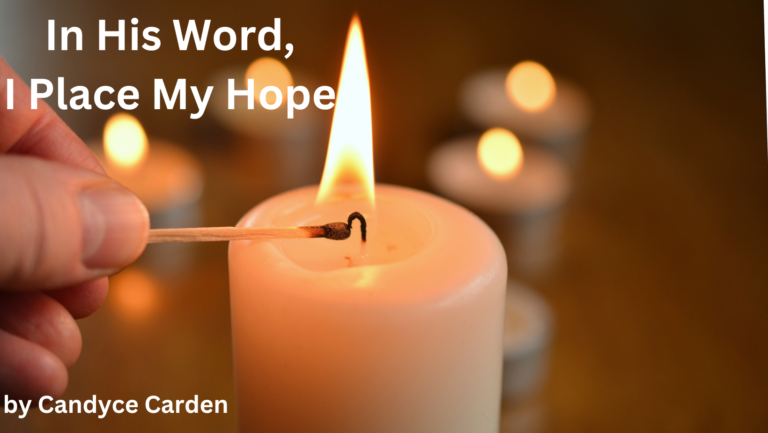 In His Word, I Place My Hope