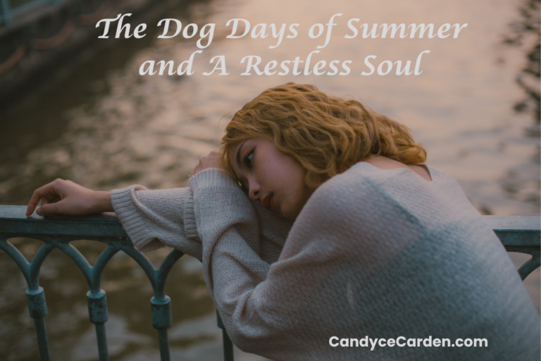 The Dog Days of Summer and A Restless Soul