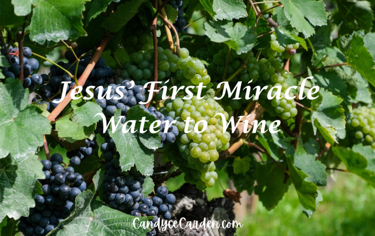 Jesus’ First Miracle — Water to Wine