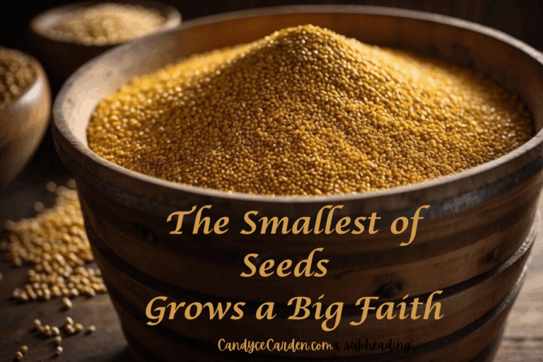 From the Smallest of Seeds Grows a Big Faith