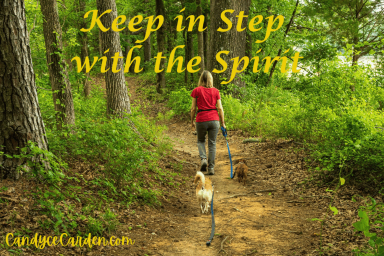 Keep In Step with the Spirit